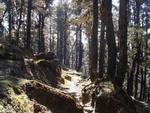 Jalori pass trek