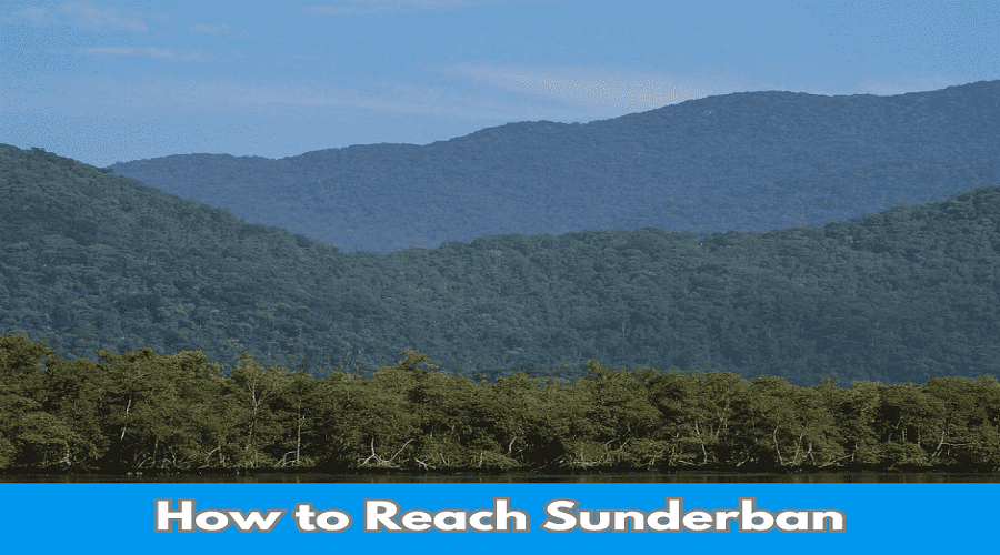 How to reach sundarban