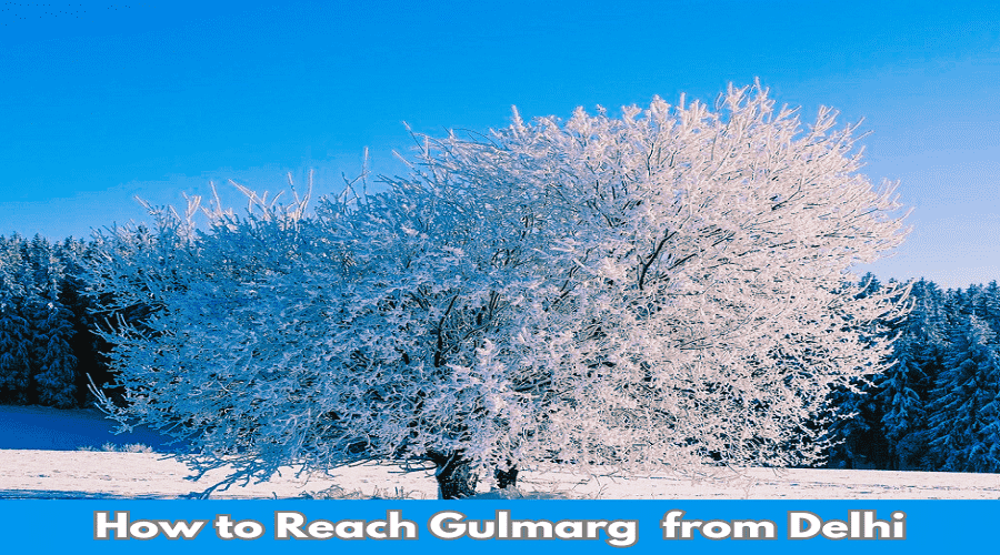 How to reach gulmarg from delhi