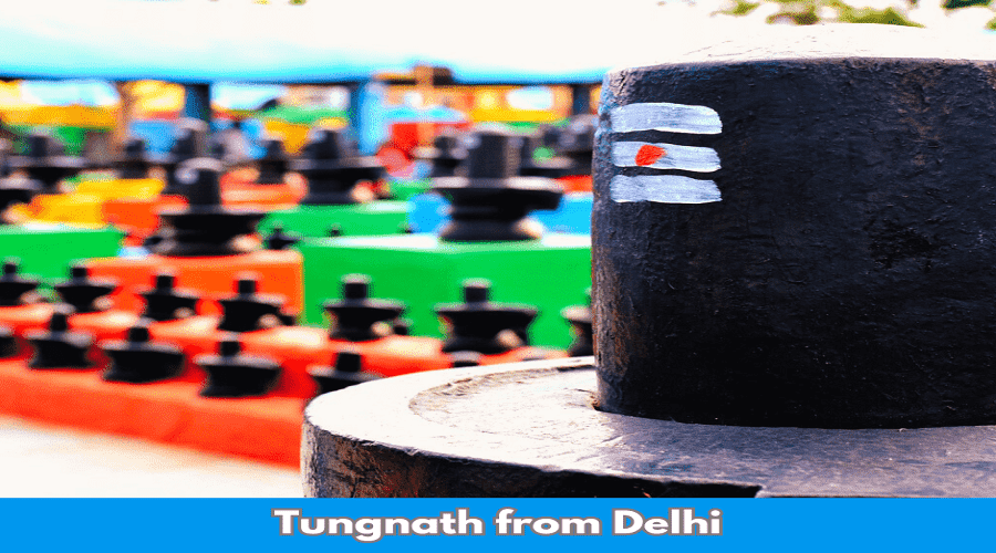 How to Reach Tungnath from Delhi