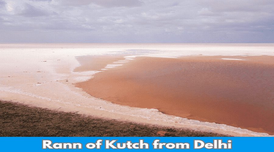 How to Reach Rann of Kutch from Delhi