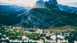 How to Reach Valley of Flowers from Delhi