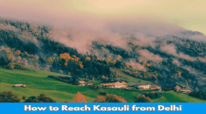 Delhi to kasauli