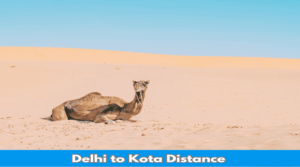 delhi to kota distance